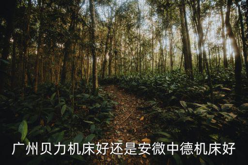 廣州貝力機床好還是安微中德機床好