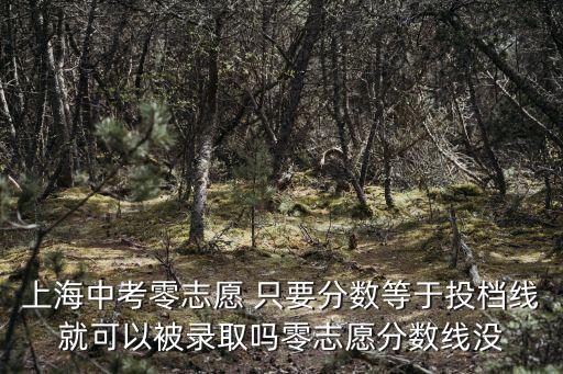 上海中考零志愿 只要分數等于投檔線就可以被錄取嗎零志愿分數線沒