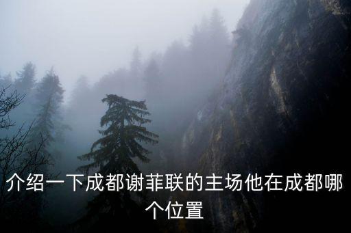 介紹一下成都謝菲聯的主場他在成都哪個位置