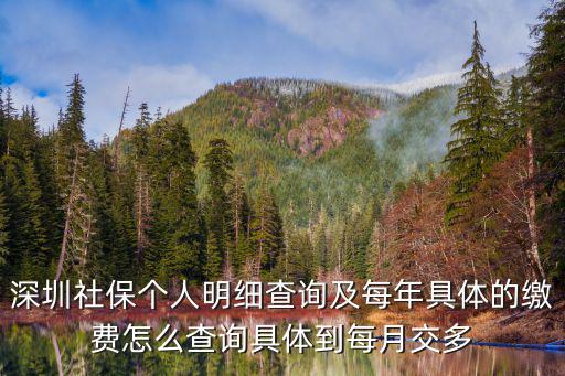 深圳社保個人明細查詢及每年具體的繳費怎么查詢具體到每月交多