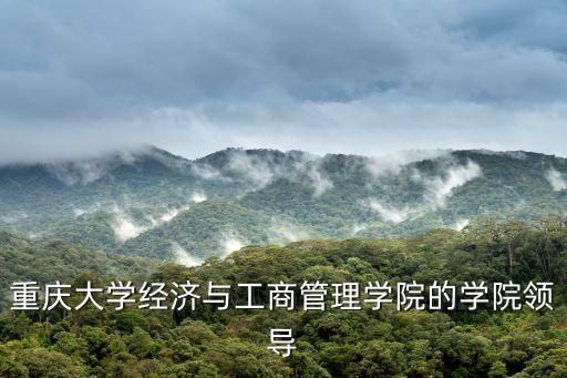 重慶大學(xué)經(jīng)濟(jì)與工商管理學(xué)院的學(xué)院領(lǐng)導(dǎo)
