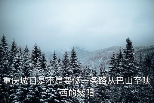 重慶城口是不是要修一條路從巴山至陜西的紫陽