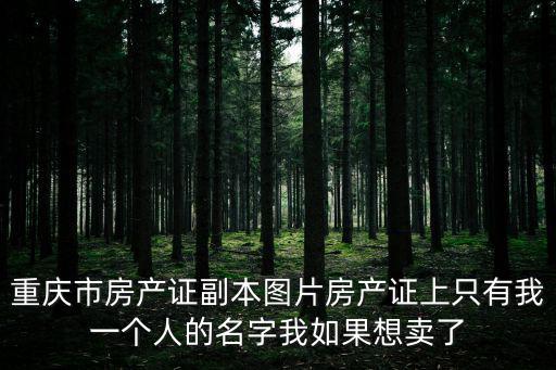 重慶市房產證副本圖片房產證上只有我一個人的名字我如果想賣了