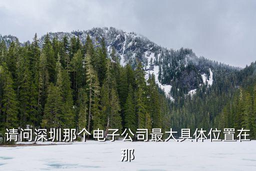 請(qǐng)問(wèn)深圳那個(gè)電子公司最大具體位置在那