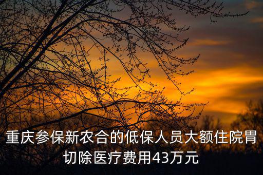 重慶參保新農(nóng)合的低保人員大額住院胃切除醫(yī)療費(fèi)用43萬(wàn)元