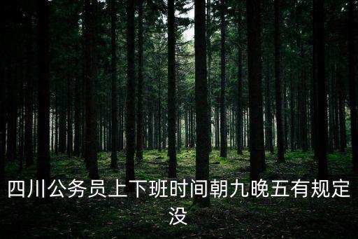 成都市朝九晚五文件，成都市中小學(xué)生八條規(guī)定為何不實(shí)施