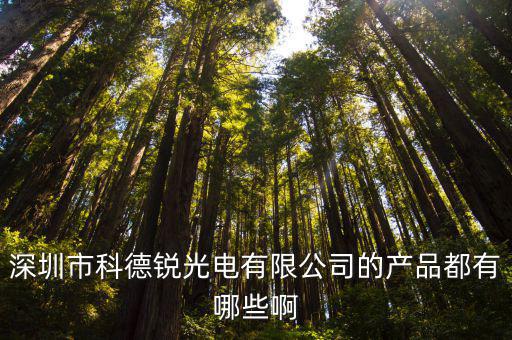 深圳市科銳科技，深圳市龍崗區坪地鎮福地崗科銳思電子廠有這個廠的嗎