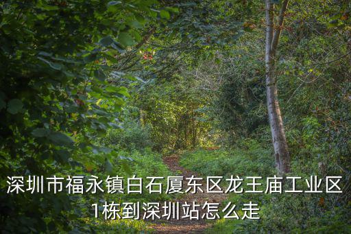 深圳市福永鎮(zhèn)白石廈東區(qū)龍王廟工業(yè)區(qū)1棟到深圳站怎么走