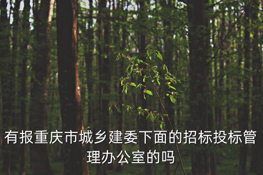 有報重慶市城鄉建委下面的招標投標管理辦公室的嗎