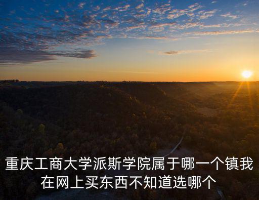 重慶工商大學派斯學院屬于哪一個鎮我在網上買東西不知道選哪個