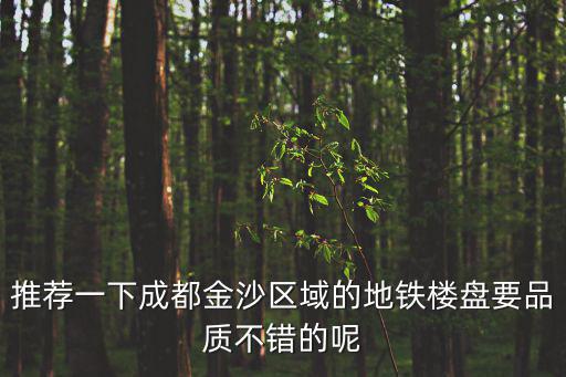 推薦一下成都金沙區域的地鐵樓盤要品質不錯的呢