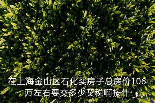 在上海金山區石化買房子總房價106萬左右要交多少契稅啊按什