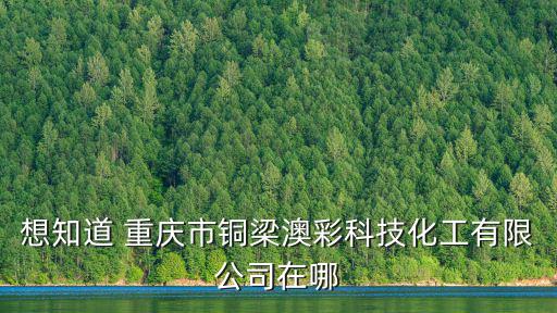 想知道 重慶市銅梁澳彩科技化工有限公司在哪
