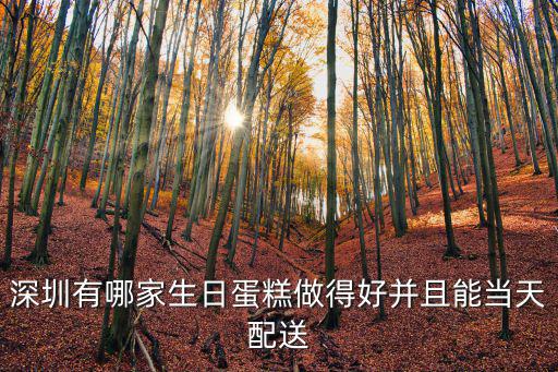 深圳有哪家生日蛋糕做得好并且能當(dāng)天配送