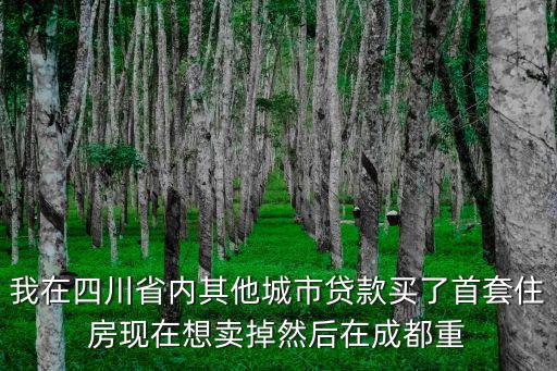 我在四川省內其他城市貸款買了首套住房現在想賣掉然后在成都重