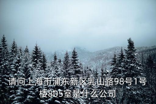 請問上海市浦東新區乳山路98號1號樓805室是什么公司