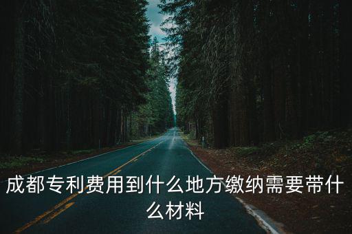成都專利費用到什么地方繳納需要帶什么材料
