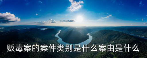 販毒案的案件類別是什么案由是什么