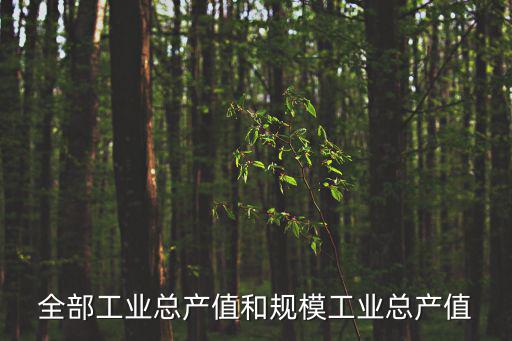 全部工業總產值和規模工業總產值