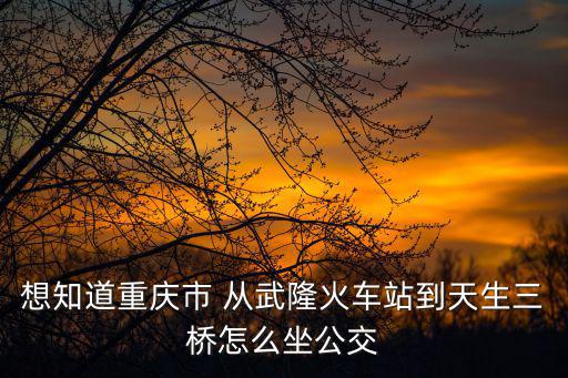 想知道重慶市 從武隆火車站到天生三橋怎么坐公交
