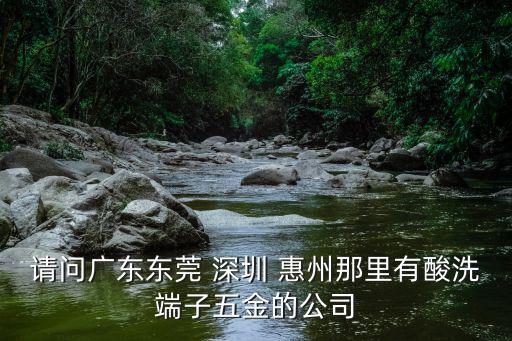 請問廣東東莞 深圳 惠州那里有酸洗端子五金的公司
