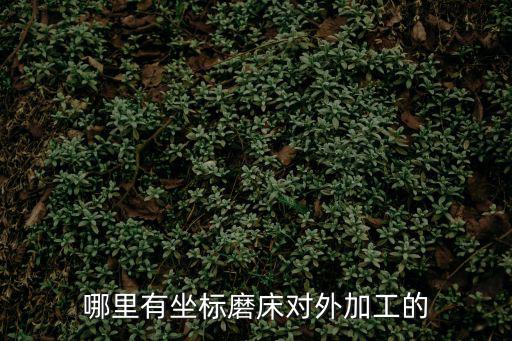 哪里有坐標磨床對外加工的