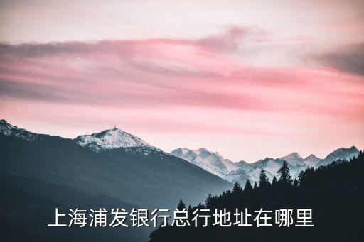 上海市金園一路588號，想知道 上海市 上海羅斯福酒店 在哪