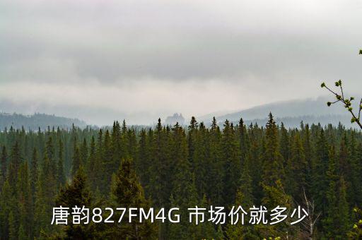 唐韻827FM4G 市場價就多少