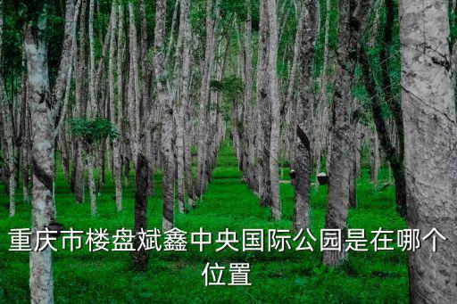 重慶市樓盤斌鑫中央國際公園是在哪個位置