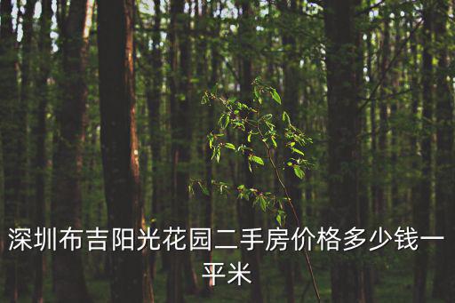深圳布吉陽光花園二手房價格多少錢一平米