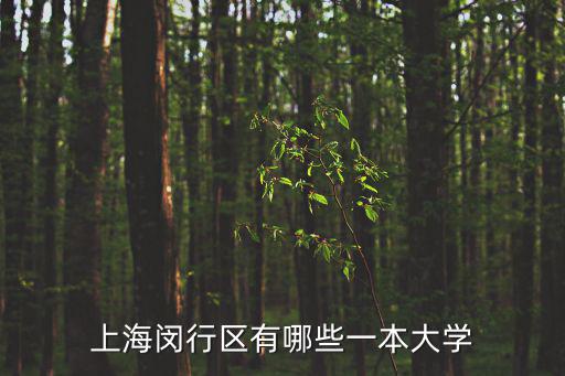 上海閔行區有哪些一本大學