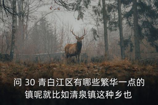 問 30 青白江區有哪些繁華一點的鎮呢就比如清泉鎮這種鄉也