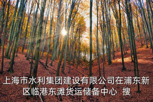 上海市水利集團建設有限公司在浦東新區臨港東灘貨運儲備中心  搜