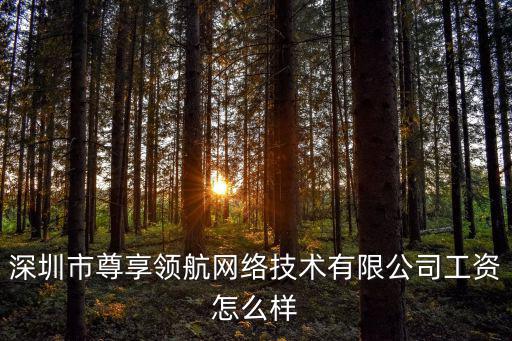 深圳市尊享領航網絡技術有限公司工資怎么樣