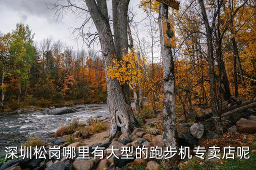 深圳松崗哪里有大型的跑步機專賣店呢