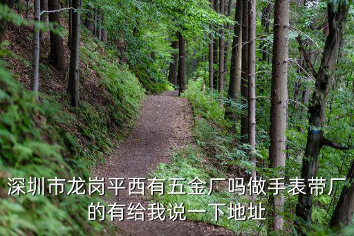 深圳市龍崗平西有五金廠嗎做手表帶廠的有給我說一下地址