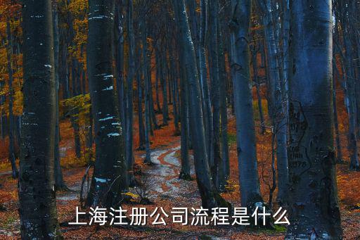 上海市工商注冊流程，上海注冊公司一般流程是什么