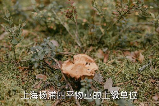 上海楊浦四平物業的上級單位