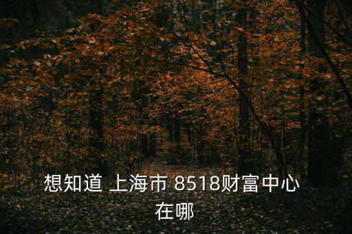 上海市古北財富中心，上海陜西北路1438號財富時代大廈2506室是上海解放置業有限公司的