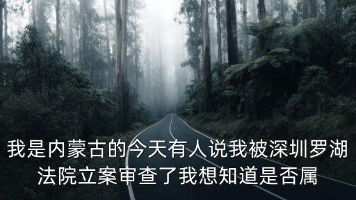 我是內蒙古的今天有人說我被深圳羅湖法院立案審查了我想知道是否屬