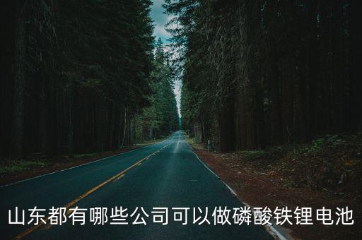 山東都有哪些公司可以做磷酸鐵鋰電池