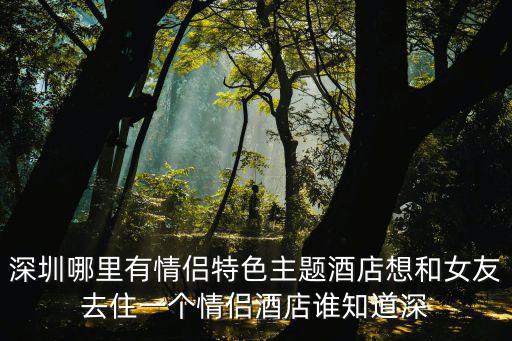深圳520浪漫主題酒店，深圳有哪些情侶主題酒店急急急