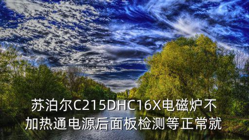 蘇泊爾C215DHC16X電磁爐不加熱通電源后面板檢測等正常就