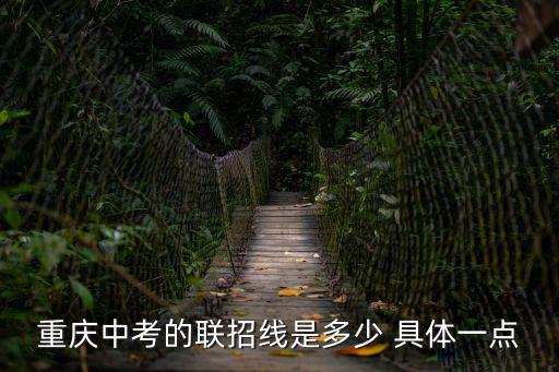 重慶市初中招線，重慶中考連招線