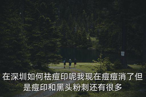 在深圳如何祛痘印呢我現在痘痘消了但是痘印和黑頭粉刺還有很多