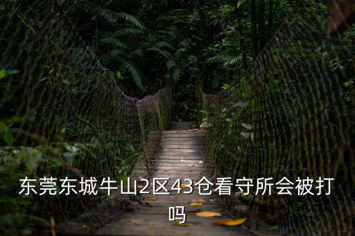 東莞東城牛山2區43倉看守所會被打嗎