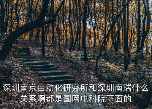 深圳南京自動化研究所和深圳南瑞什么關系啊都是國網電科院下面的