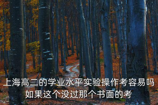 上海高二的學(xué)業(yè)水平實(shí)驗(yàn)操作考容易嗎如果這個(gè)沒過那個(gè)書面的考