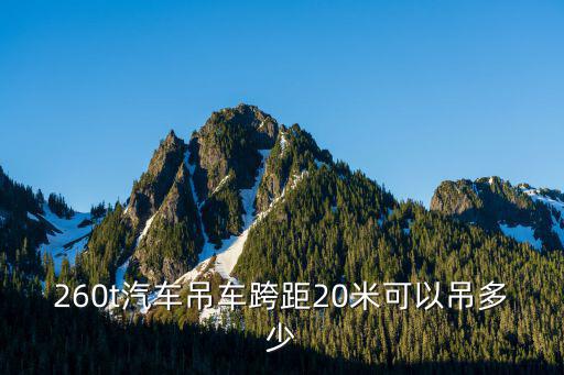 成都市的260噸汽車吊車，成都吊車租賃公司中除了四川騰達吊裝公司18982143527哪一家