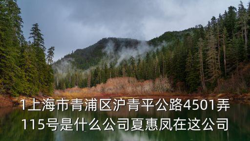 1上海市青浦區滬青平公路4501弄115號是什么公司夏惠鳳在這公司